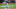 Chicago White Sox Nomar Mazara Chicago White Sox Nomar Mazara