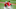 Chicago White Sox Jose Ramirez Chicago White Sox Jose Ramirez