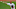 Chicago White Sox Max Scherzer Chicago White Sox Max Scherzer