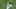 Chicago White Sox Adam Eaton Chicago White Sox Adam Eaton