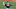 Chicago White Sox Lucas Giolito Chicago White Sox Lucas Giolito