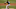 Chicago White Sox Matt Foster Chicago White Sox Matt Foster