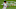 Chicago White Sox DJ LeMahieu Chicago White Sox DJ LeMahieu