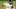 Chicago White Sox, Danny Mendick Chicago White Sox, Danny Mendick