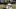 Chicago White Sox, Tim Anderson Chicago White Sox, Tim Anderson