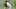 Chicago White Sox James Paxton Chicago White Sox James Paxton