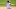 Chicago White Sox Nick Madrigal Chicago White Sox Nick Madrigal