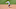 Chicago White Sox Danny Mendick Chicago White Sox Danny Mendick