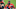 Chicago White Sox Eloy Jimenez Chicago White Sox Eloy Jimenez