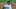 Chicago White Sox Lucas Giolito Chicago White Sox Lucas Giolito