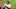 Chicago White Sox Freddy Galvis Chicago White Sox Freddy Galvis