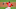 Chicago White Sox Shane Bieber Chicago White Sox Shane Bieber