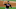 Chicago White Sox Shane Greene Chicago White Sox Shane Greene
