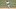 Chicago White Sox Tim Anderson Chicago White Sox Tim Anderson