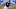 Chicago White Sox, Nick Williams Chicago White Sox, Nick Williams