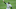Chicago White Sox, Tim Anderson Chicago White Sox, Tim Anderson