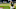 Chicago White Sox, Carlos Rodon Chicago White Sox, Carlos Rodon