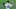 Chicago White Sox, Dylan Cease Chicago White Sox, Dylan Cease