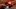 Chicago White Sox, Joey Votto Chicago White Sox, Joey Votto