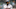 Chicago White Sox, Yordan Alvarez Chicago White Sox, Yordan Alvarez