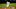 Chicago White Sox, Tony Kemp Chicago White Sox, Tony Kemp
