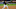 Chicago White Sox, Yoan Moncada Chicago White Sox, Yoan Moncada
