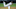 CHICAGO, IL – SEPTEMBER 06: Starting pitcher Reynaldo Lopez CHICAGO, IL – SEPTEMBER 06: Starting pitcher Reynaldo Lopez