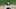 Chicago White Sox Alex Colome Chicago White Sox Alex Colome