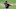 Chicago White Sox Yoan Moncada Chicago White Sox Yoan Moncada