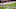 Chicago White Sox, Tim Anderson Chicago White Sox, Tim Anderson