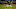 Chicago White Sox Yoan Moncada Chicago White Sox Yoan Moncada