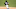 Chicago White Sox Zack Collins Chicago White Sox Zack Collins