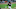 Chicago White Sox Yoan Moncada Chicago White Sox Yoan Moncada