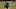 Chicago White Sox Carlos Rodon Chicago White Sox Carlos Rodon