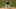 Chicago White Sox Ross Detwiler Chicago White Sox Ross Detwiler