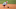 Chicago White Sox, Colson Montgomery Chicago White Sox, Colson Montgomery
