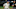 Chicago White Sox, Seby Zavala Chicago White Sox, Seby Zavala