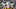 Nov 29, 2015; Seattle, WA, USA; Pittsburgh Steelers quarterback Nov 29, 2015; Seattle, WA, USA; Pittsburgh Steelers quarterback