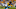 PITTSBURGH, PA – AUGUST 30: Joshua Dobbs #5 of the Pittsburgh Steelers dives over Rashaan Gaulden #28 and Daeshon Hall #94 of the Carolina Panthers scoring a 3 yard touchdown run in the first quarter during a preseason game on August 30, 2018 at Heinz Field in Pittsburgh, Pennsylvania. (Photo by Justin K. Aller/Getty Images) PITTSBURGH, PA – AUGUST 30: Joshua Dobbs #5 of the Pittsburgh Steelers dives over Rashaan Gaulden #28 and Daeshon Hall #94 of the Carolina Panthers scoring a 3 yard touchdown run in the first quarter during a preseason game on August 30, 2018 at Heinz Field in Pittsburgh, Pennsylvania. (Photo by Justin K. Aller/Getty Images)
