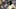 OAKLAND, CA – DECEMBER 09: Head coach Mike Tomlin of the Pittsburgh Steelers looks on from the sidelines against the Oakland Raiders during an NFL football game at Oakland-Alameda County Coliseum on December 9, 2018 in Oakland, California. (Photo by Thearon W. Henderson/Getty Images) OAKLAND, CA – DECEMBER 09: Head coach Mike Tomlin of the Pittsburgh Steelers looks on from the sidelines against the Oakland Raiders during an NFL football game at Oakland-Alameda County Coliseum on December 9, 2018 in Oakland, California. (Photo by Thearon W. Henderson/Getty Images)