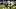 Pittsburgh Steelers Pittsburgh Steelers