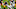 James Conner #30 of the Pittsburgh Steelers (Photo by Justin K. Aller/Getty Images) James Conner #30 of the Pittsburgh Steelers (Photo by Justin K. Aller/Getty Images)