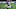 Pittsburgh Steelers Pittsburgh Steelers