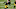 Pittsburgh Steelers Pittsburgh Steelers