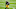 Steelers Steelers