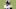 Steelers Steelers