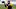 Steelers Steelers