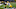 PITTSBURGH, PA – NOVEMBER 26: Justin Hunter #11 of the Pittsburgh Steelers cannot come up with a catch on a pass from Ben Roethlisberger #7 in the first quarter during the game against the Green Bay Packers at Heinz Field on November 26, 2017 in Pittsburgh, Pennsylvania. (Photo by Joe Sargent/Getty Images) PITTSBURGH, PA – NOVEMBER 26: Justin Hunter #11 of the Pittsburgh Steelers cannot come up with a catch on a pass from Ben Roethlisberger #7 in the first quarter during the game against the Green Bay Packers at Heinz Field on November 26, 2017 in Pittsburgh, Pennsylvania. (Photo by Joe Sargent/Getty Images)