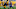 PITTSBURGH, PA – SEPTEMBER 17: Dalvin Cook PITTSBURGH, PA – SEPTEMBER 17: Dalvin Cook