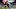 PITTSBURGH, PA – NOVEMBER 16: Antonio Brown PITTSBURGH, PA – NOVEMBER 16: Antonio Brown